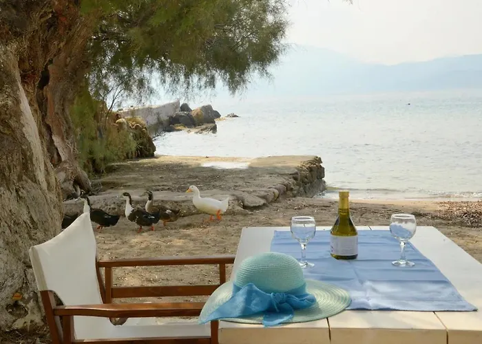 Milos Kardapis Ground Floor